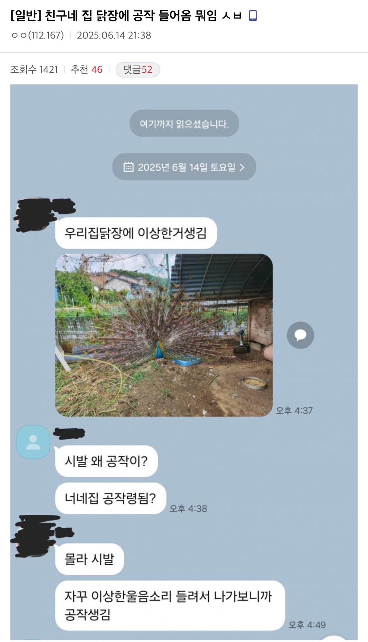 게시물 이미지