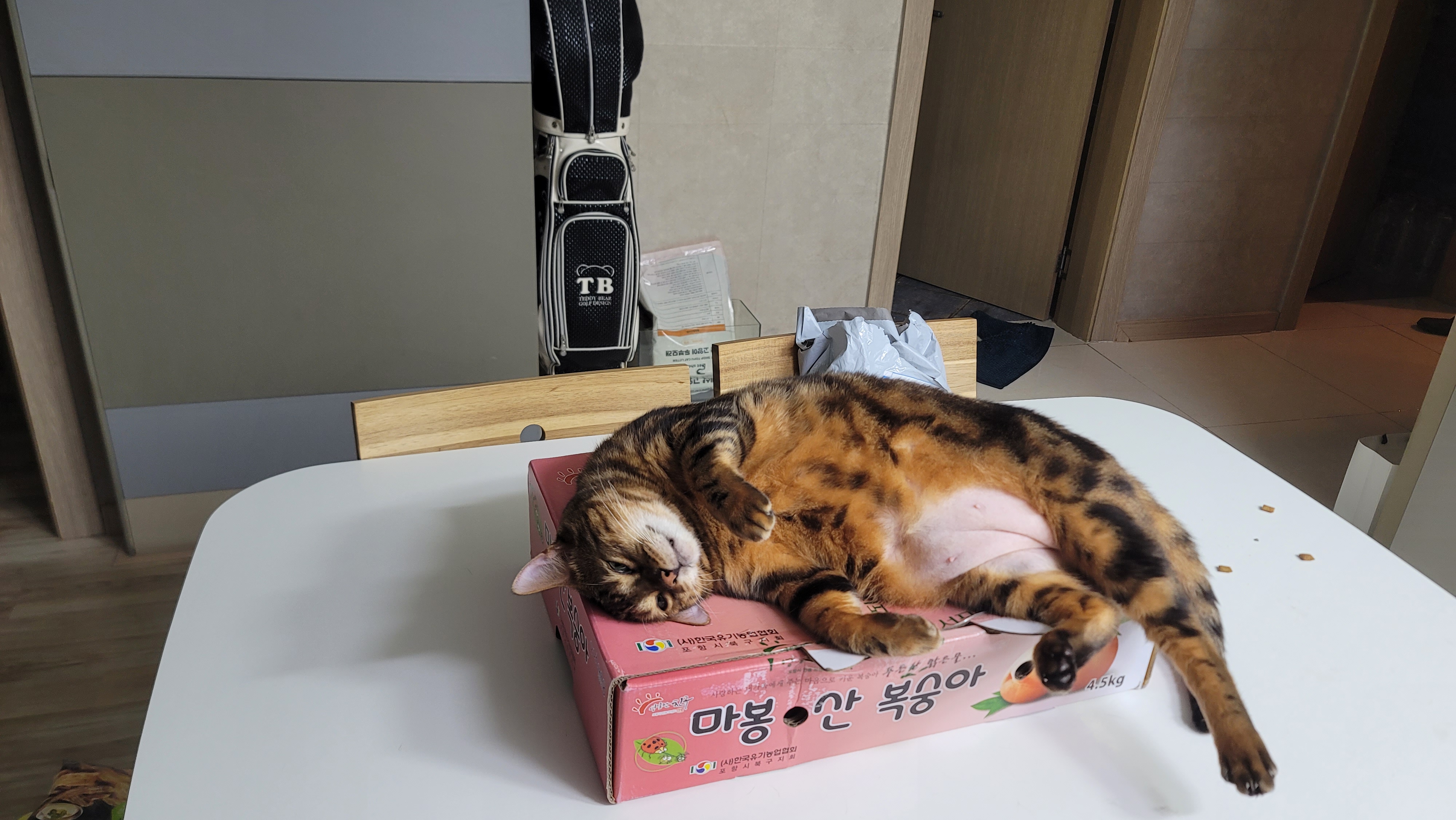 게시물 이미지