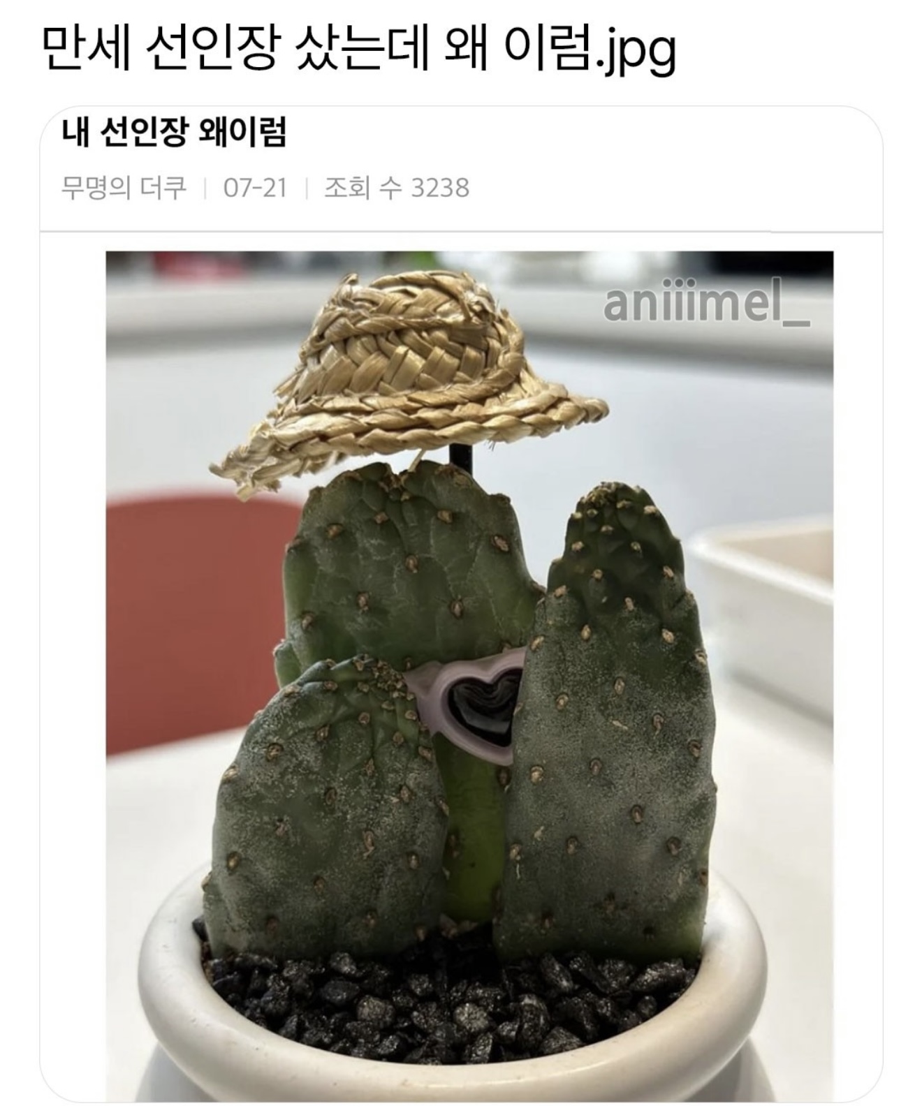 게시물 이미지