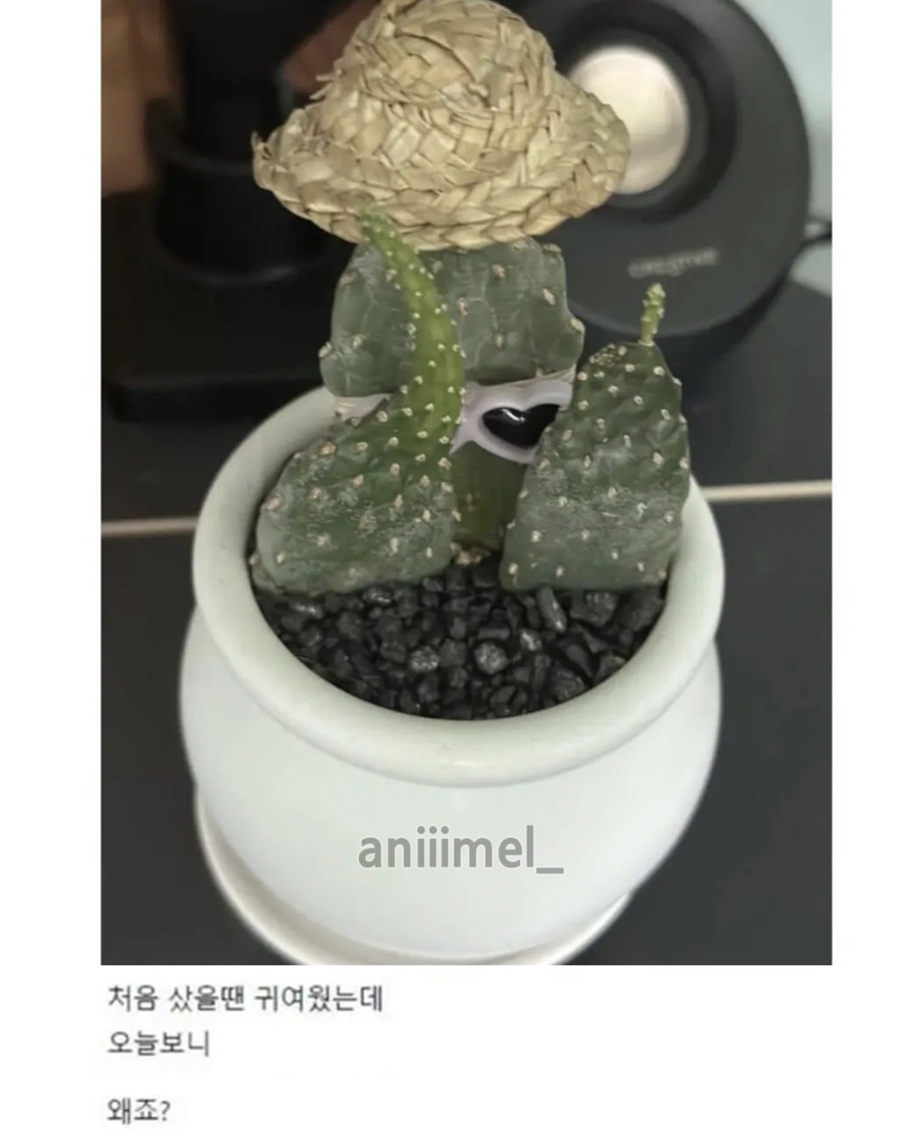 게시물 이미지