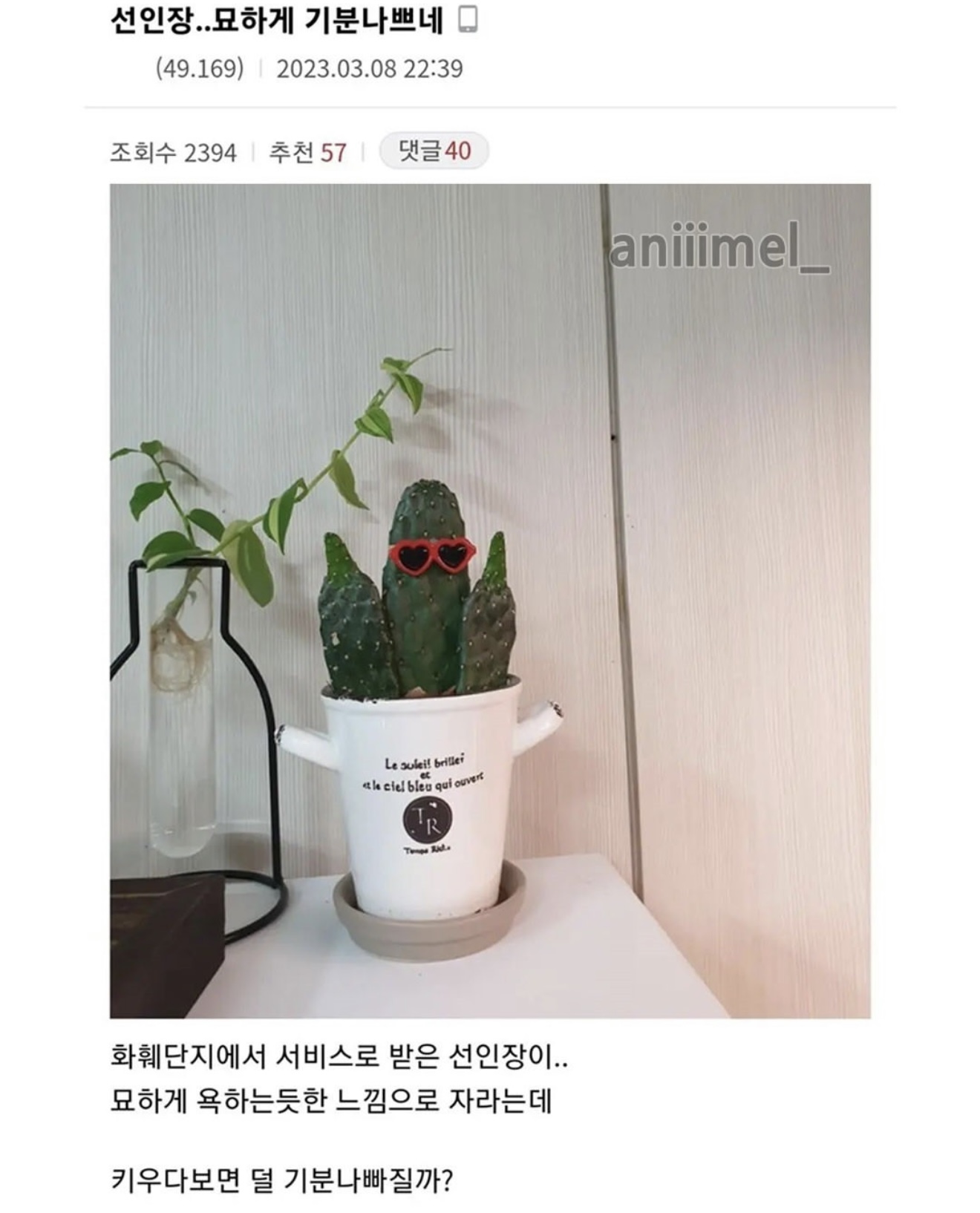게시물 이미지