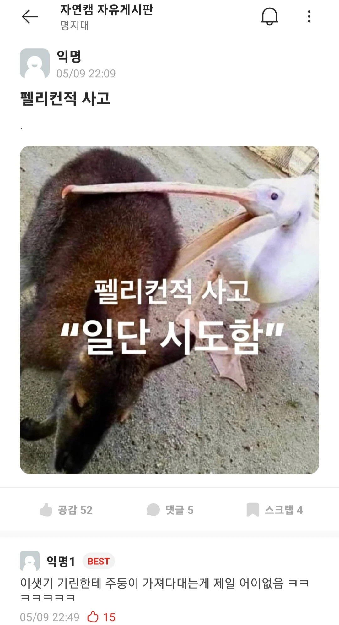 게시물 이미지