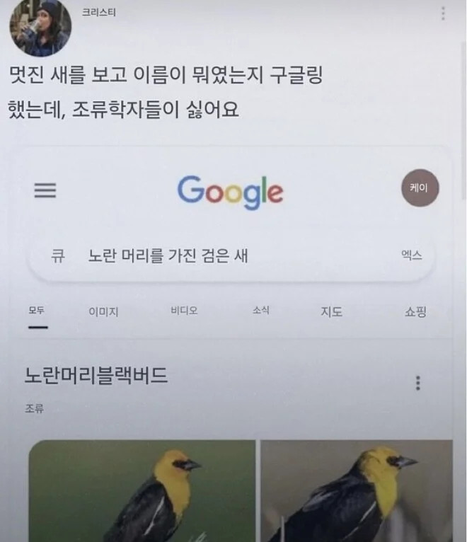 게시물 이미지