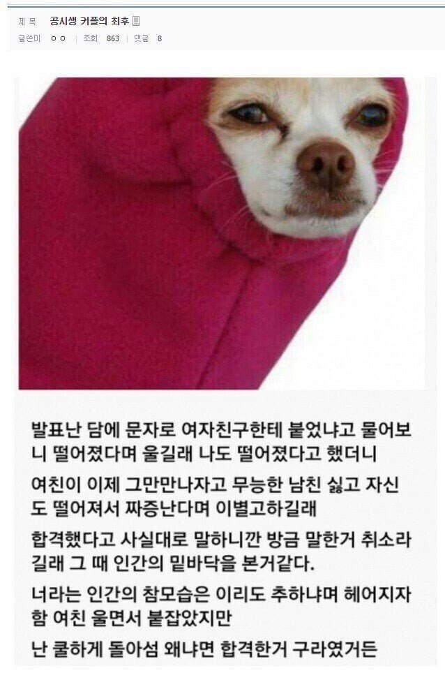 게시물 이미지