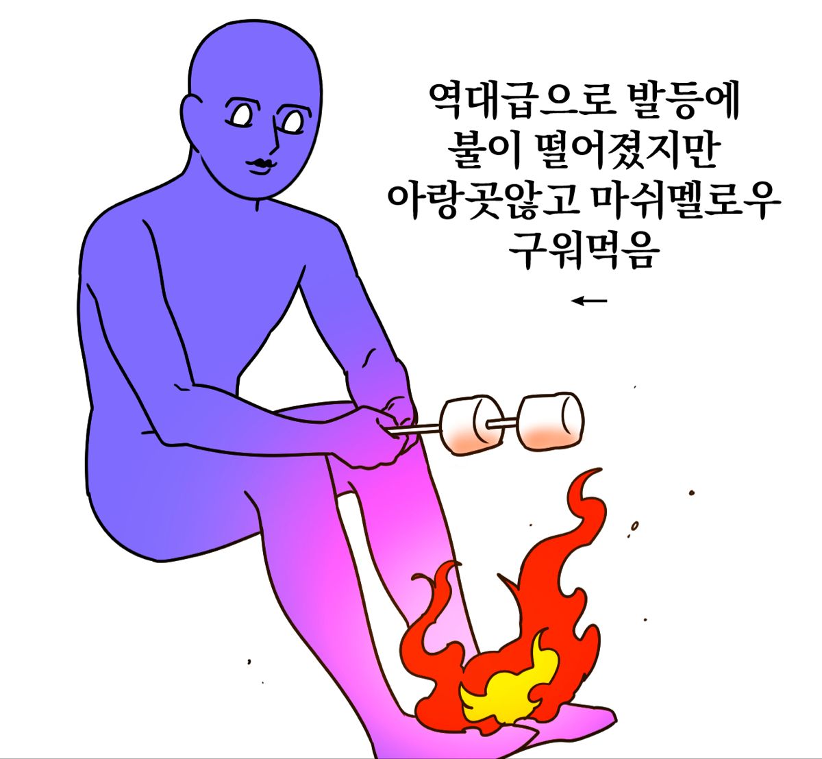 게시물 이미지