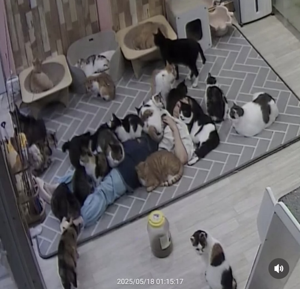 게시물 이미지