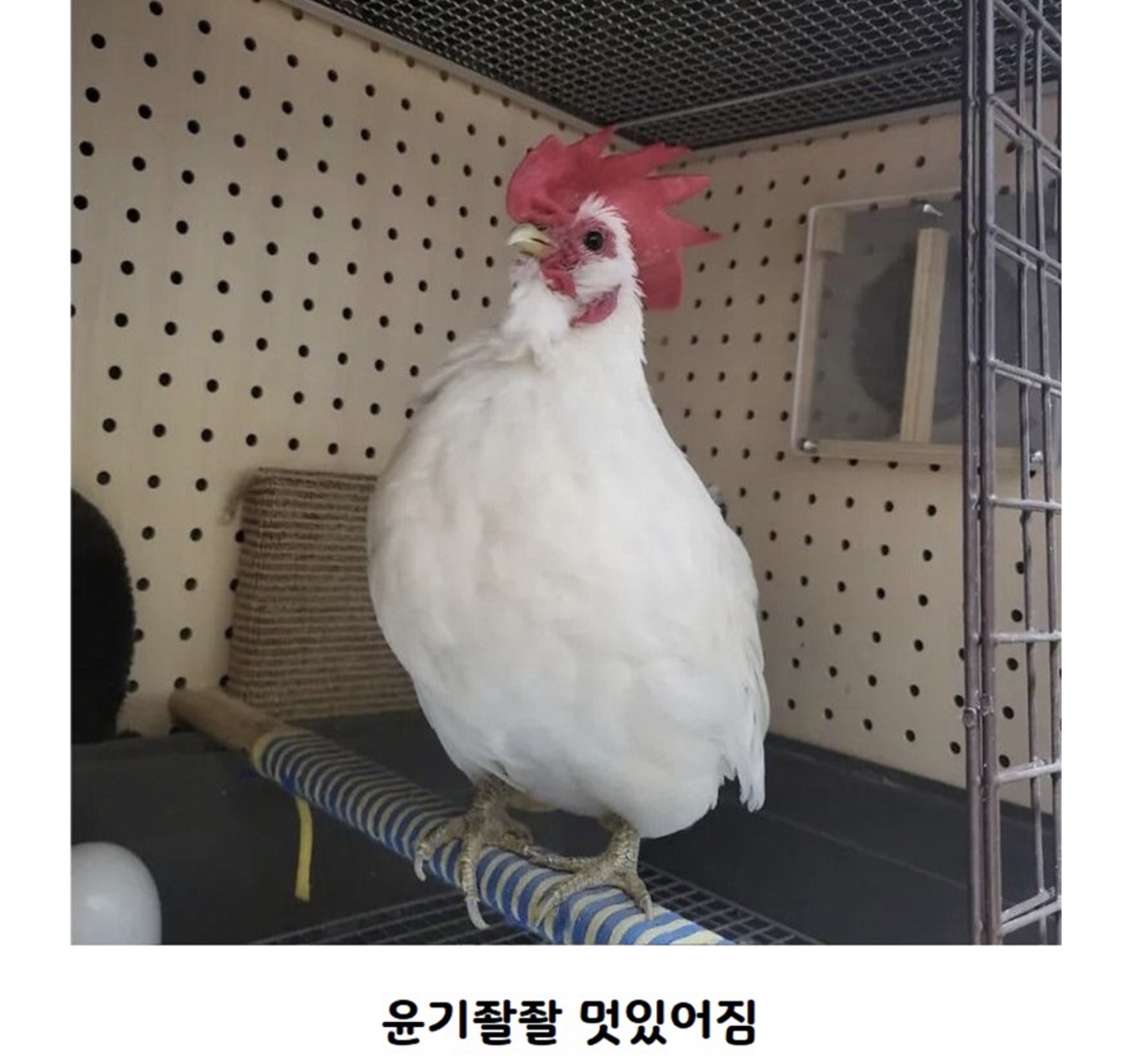 게시물 이미지