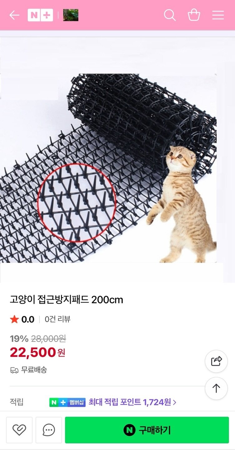 게시물 이미지