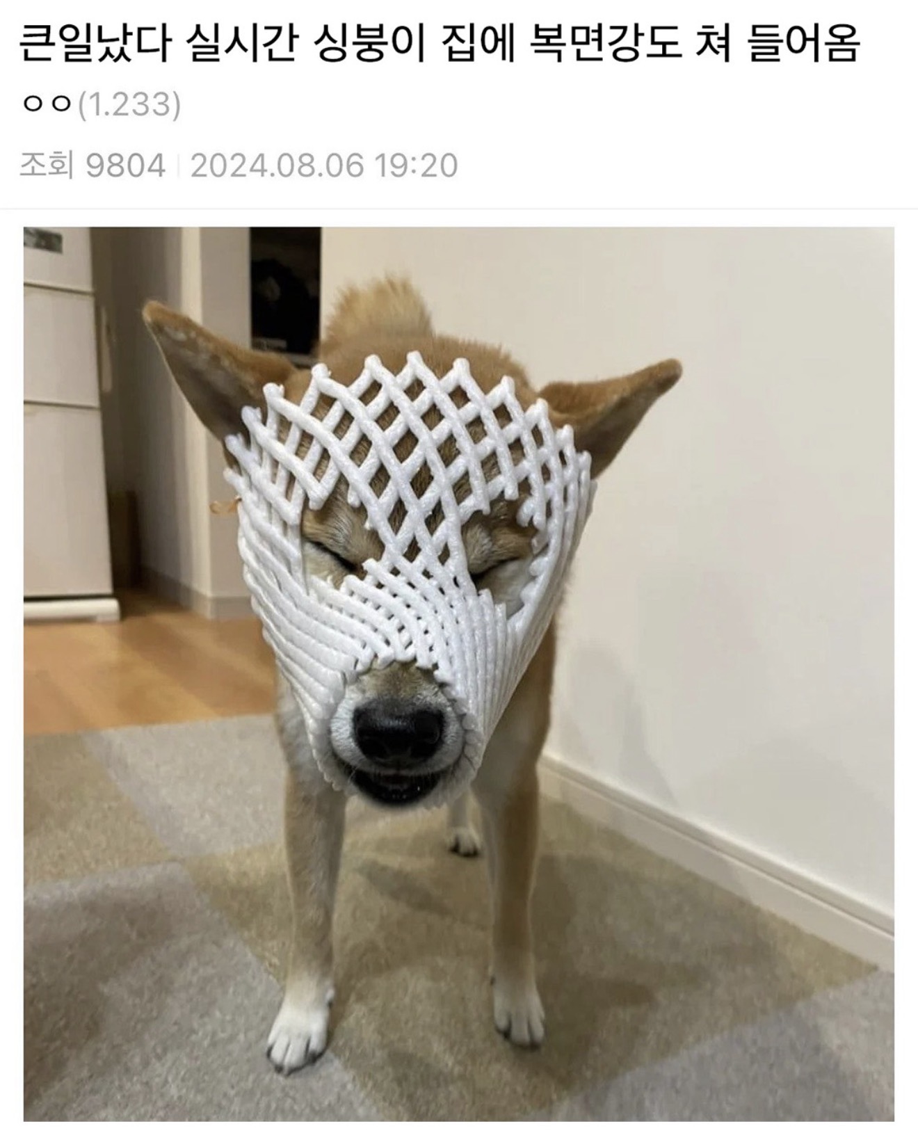 게시물 이미지