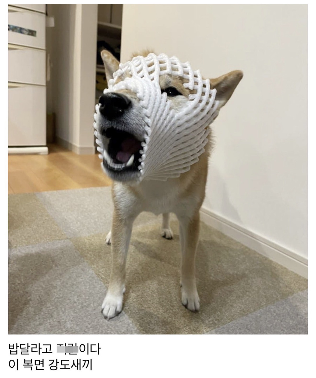 게시물 이미지