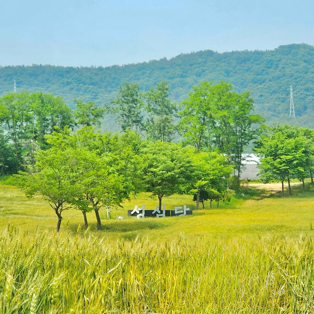 게시물 이미지