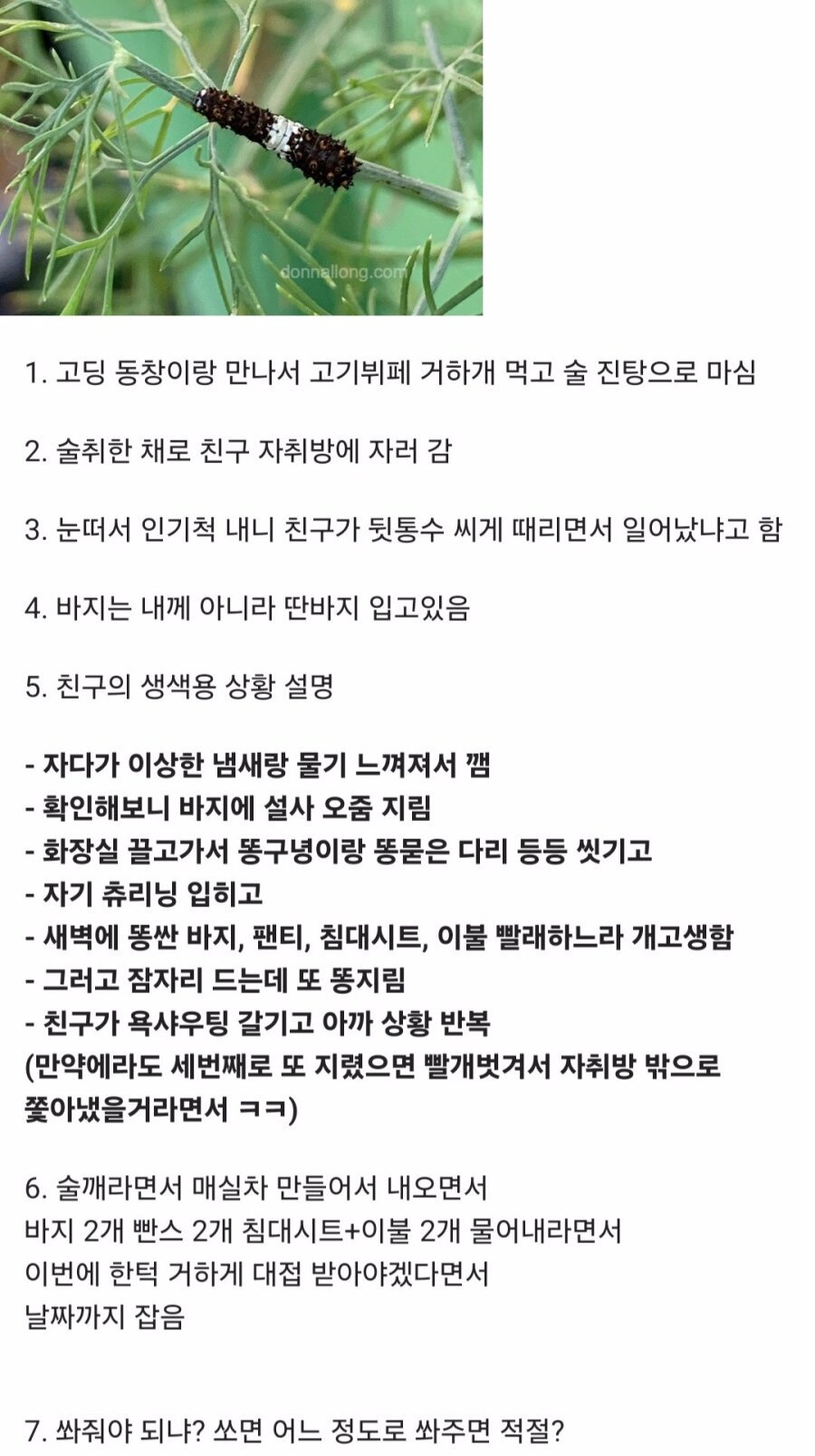 게시물 이미지