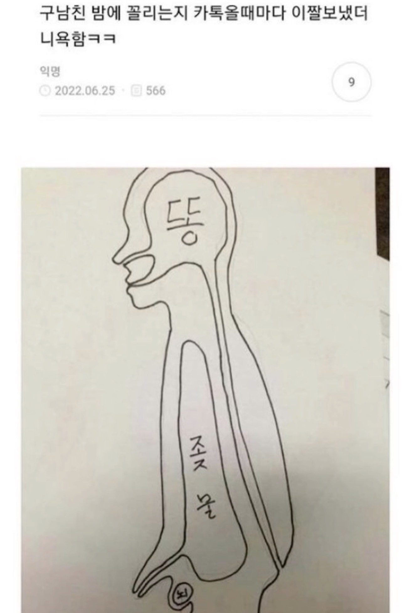 게시물 이미지