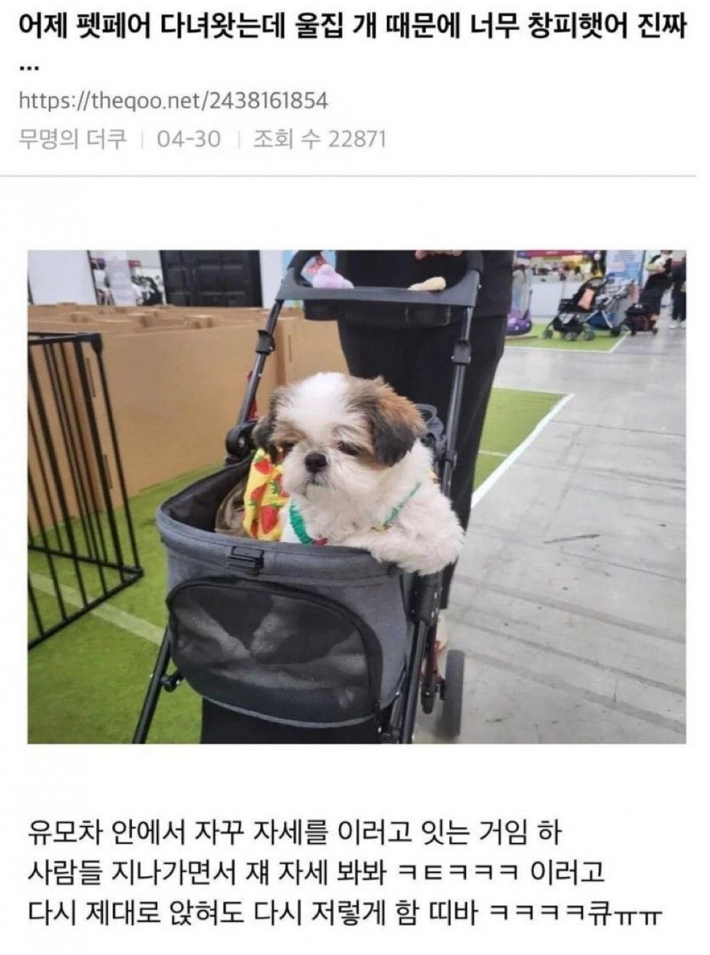 게시물 이미지