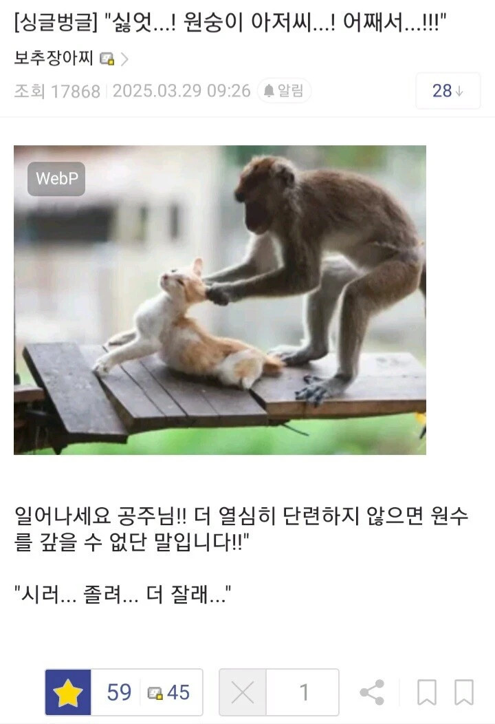 게시물 이미지