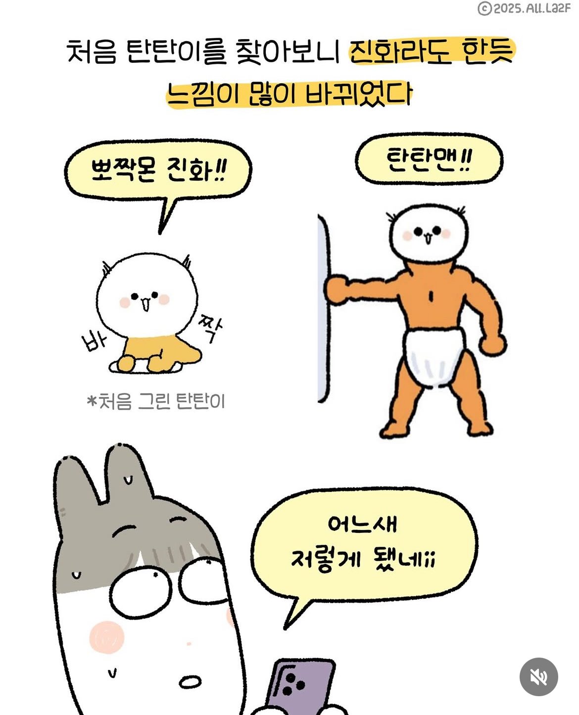 게시물 이미지