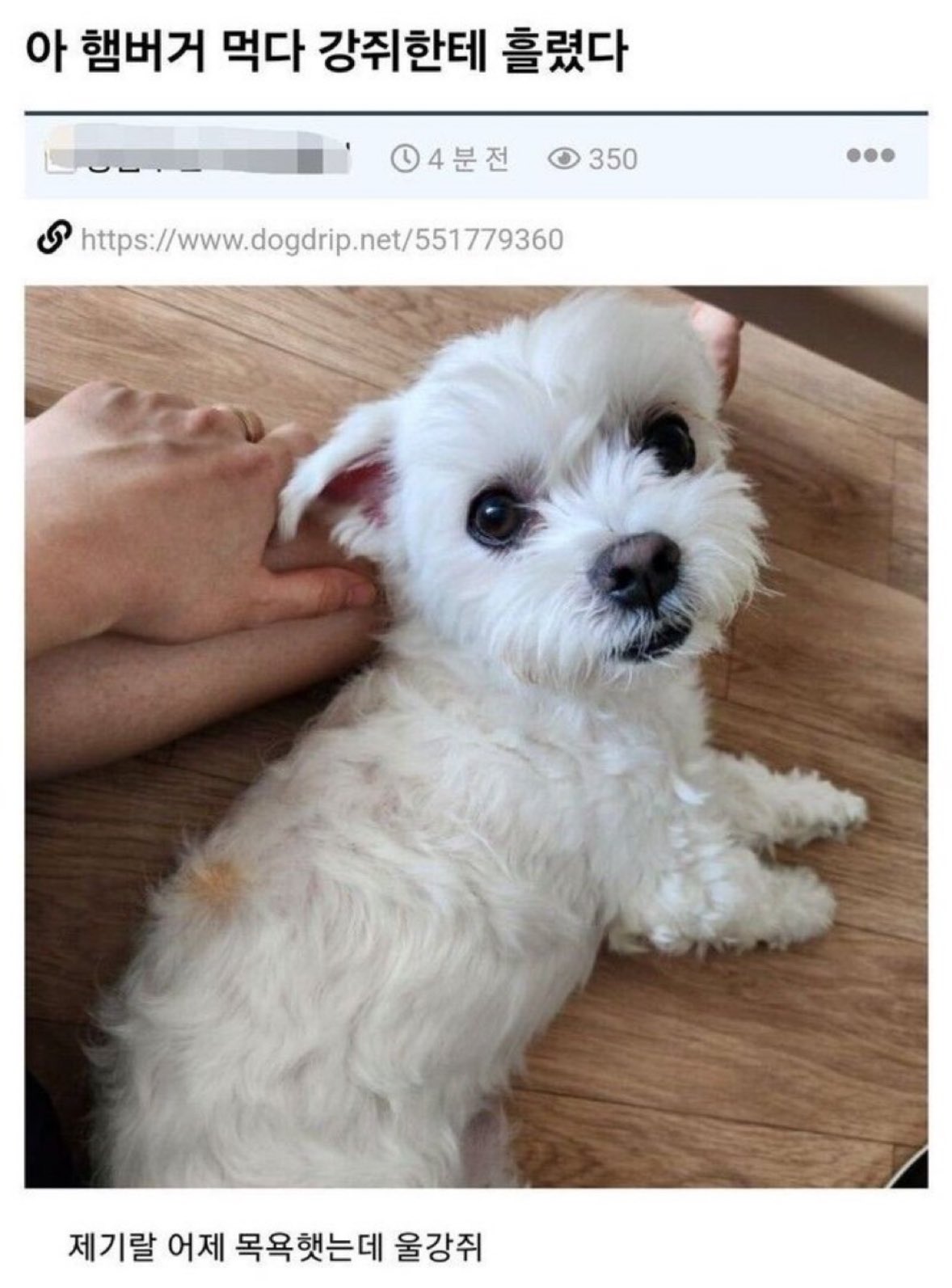 게시물 이미지