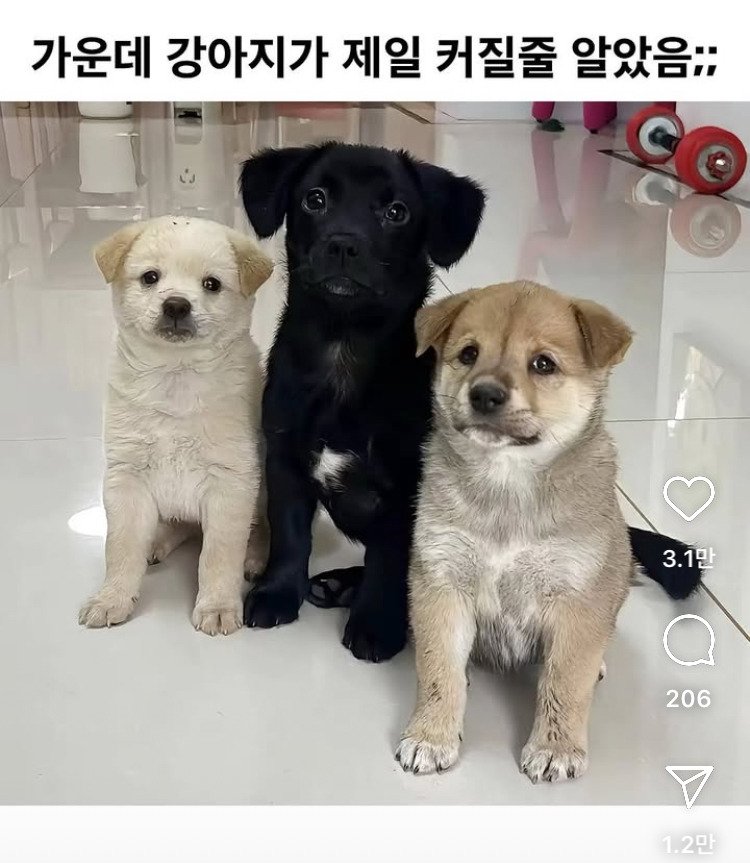 게시물 이미지