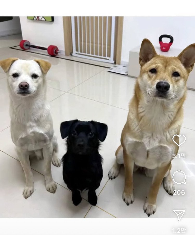 게시물 이미지