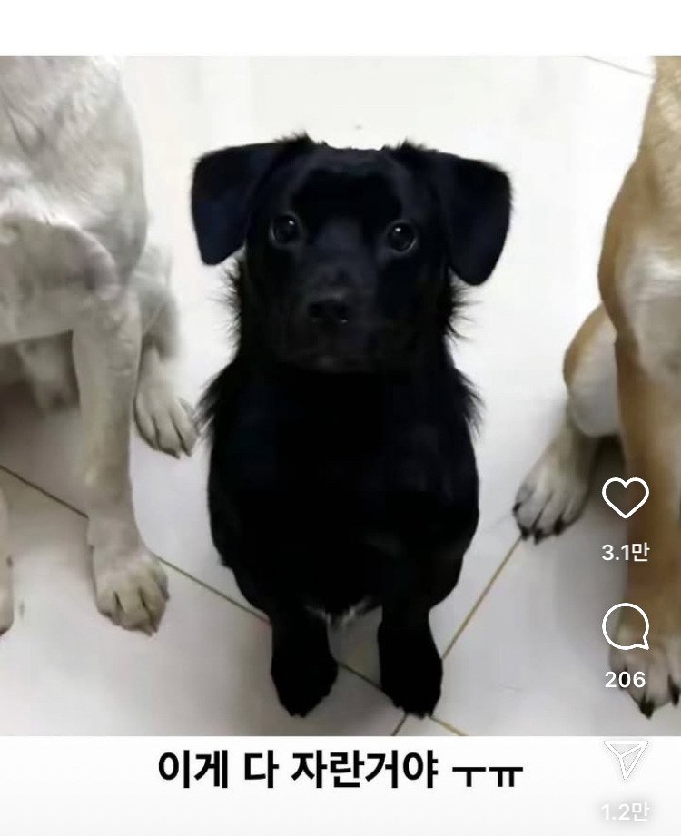 게시물 이미지