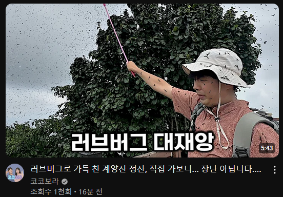 게시물 이미지
