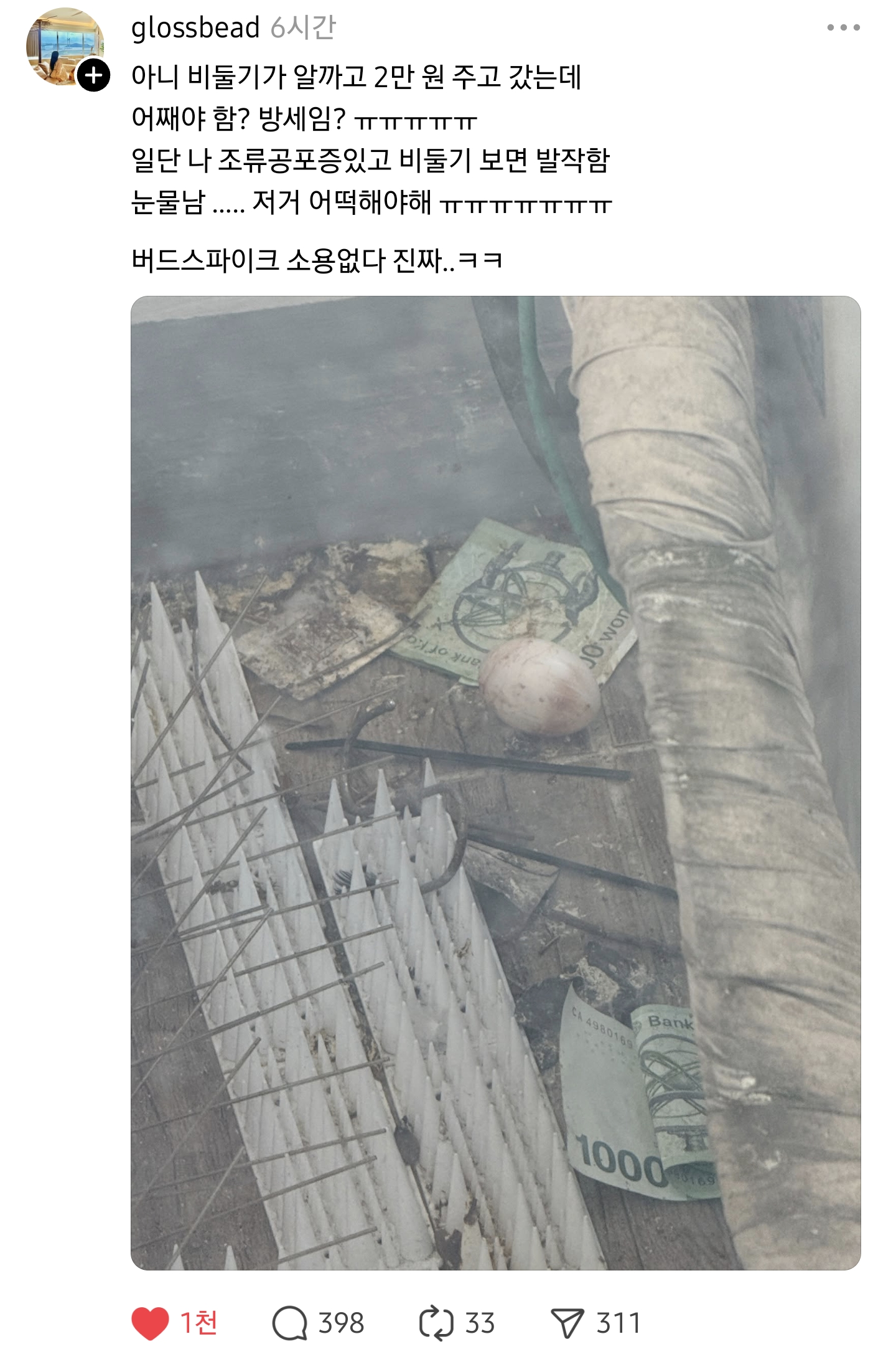 게시물 이미지