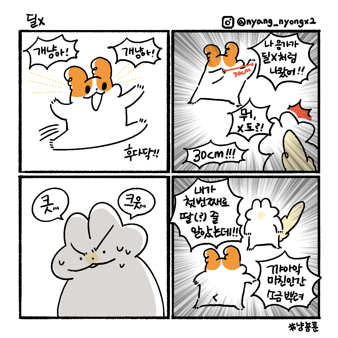 게시물 이미지