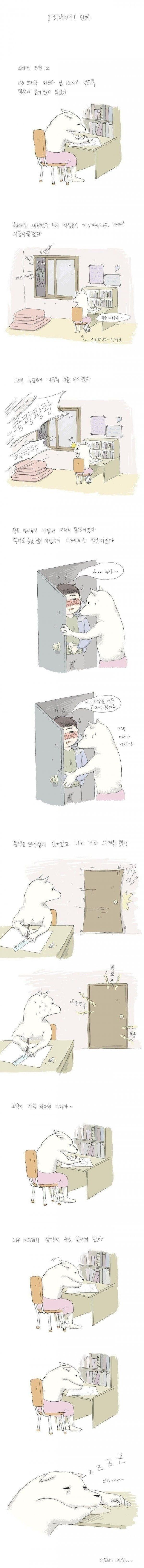 게시물 이미지