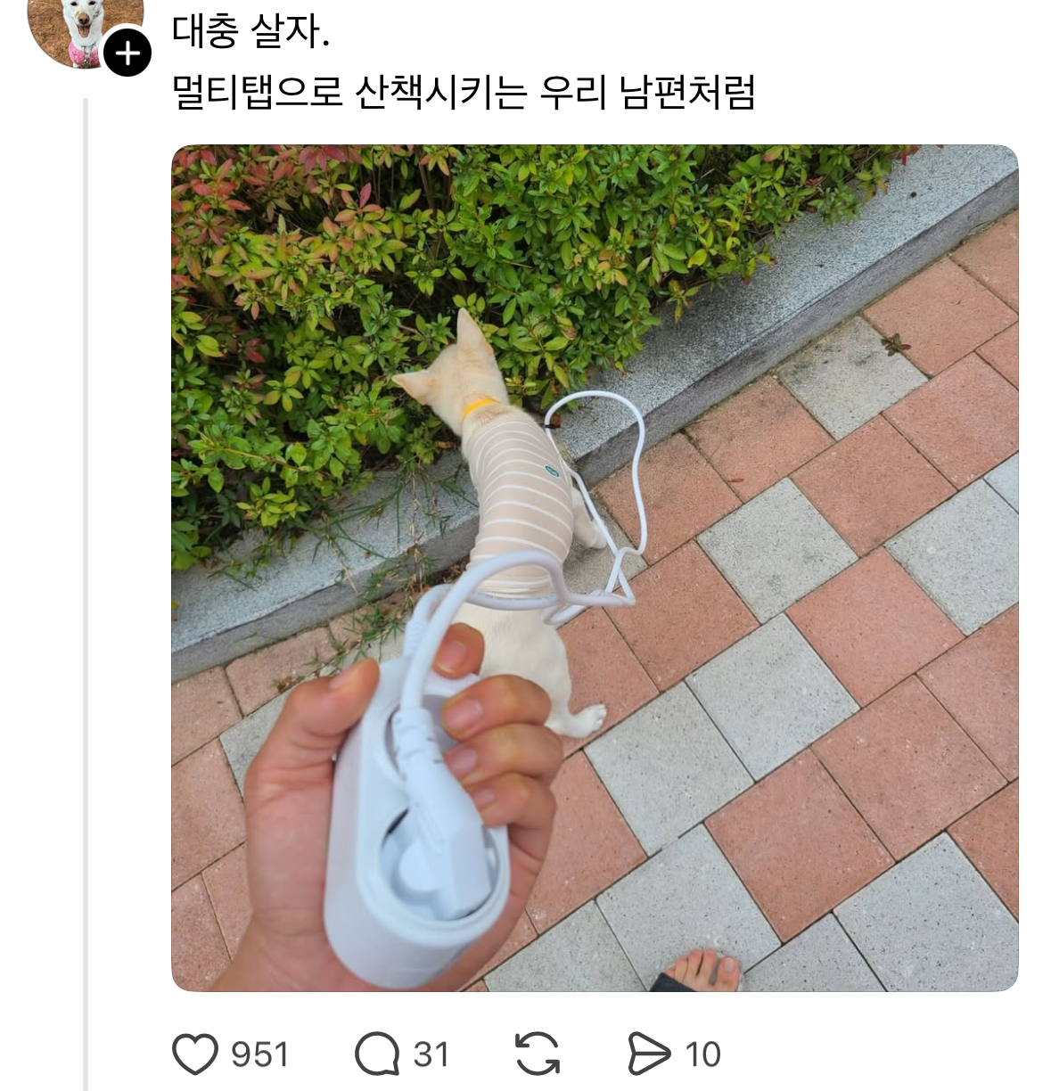 게시물 이미지