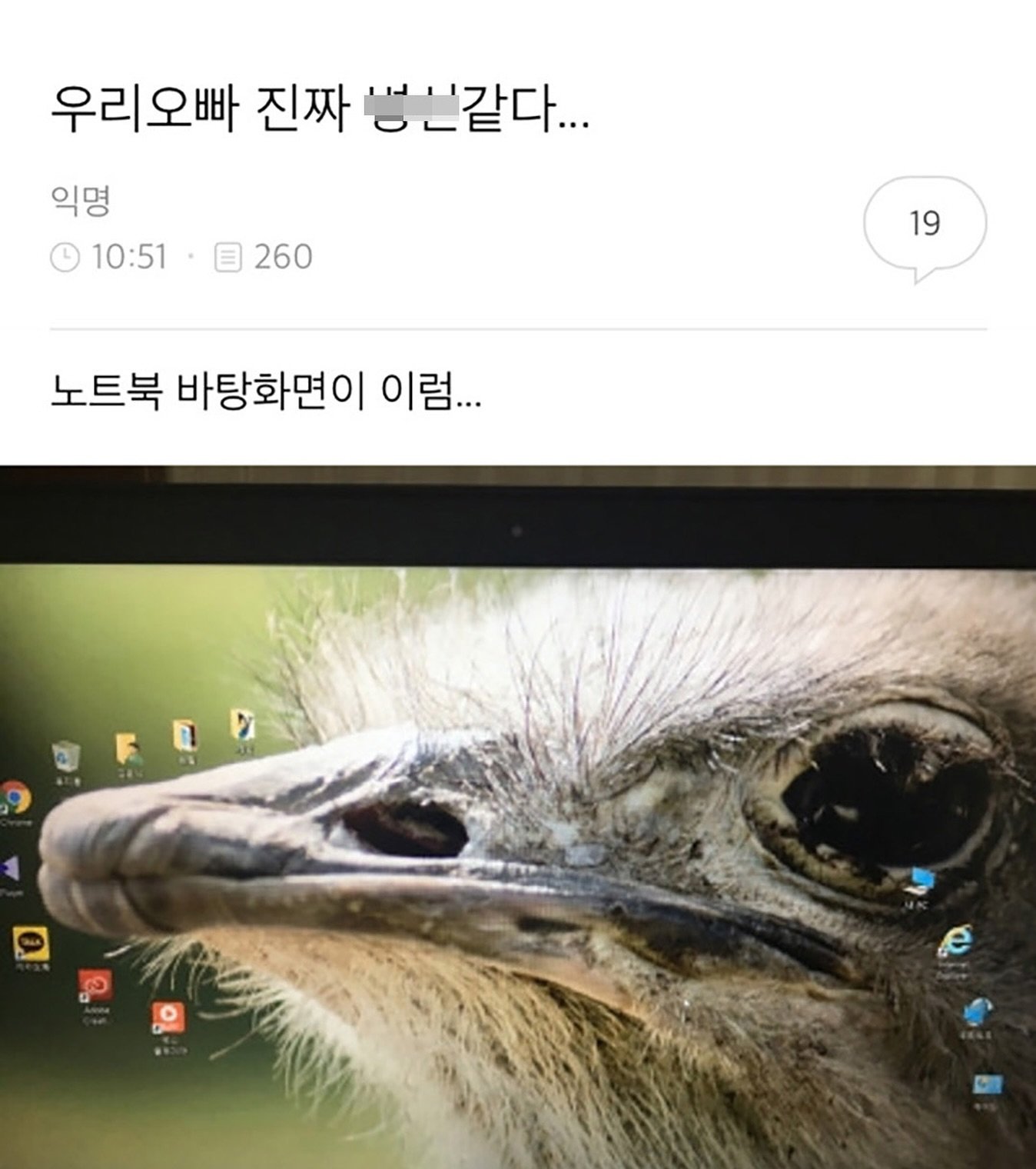게시물 이미지