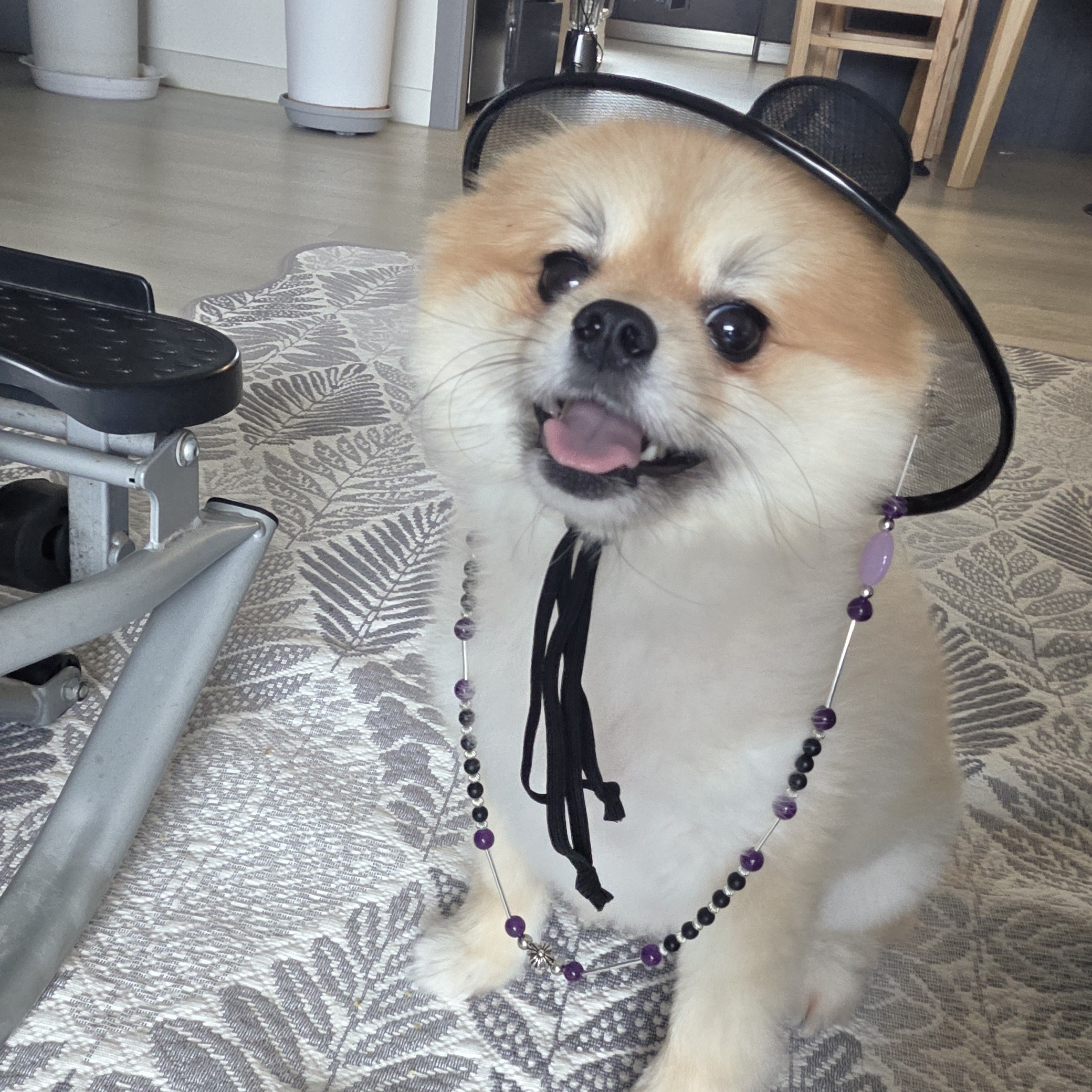 게시물 이미지