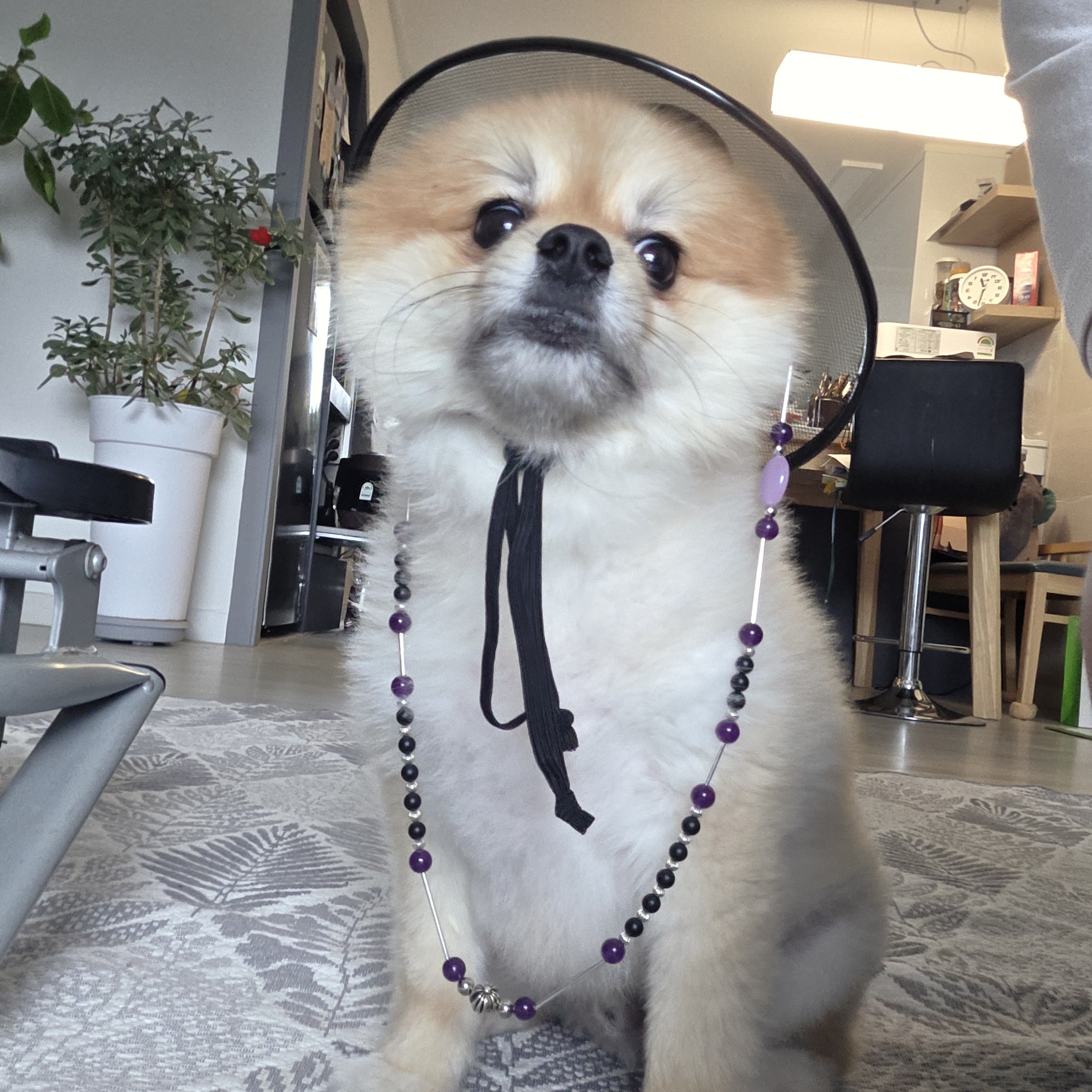 게시물 이미지