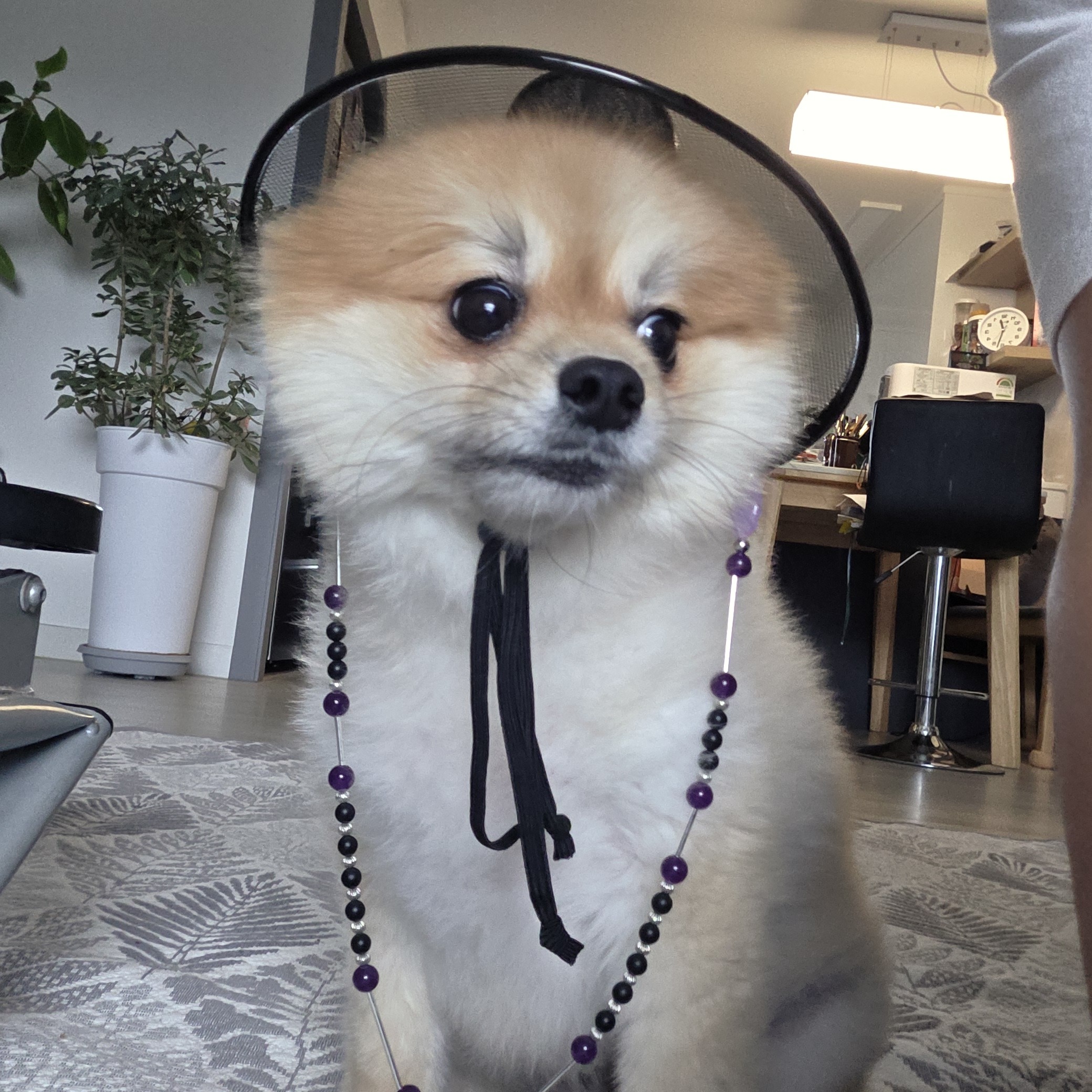 게시물 이미지