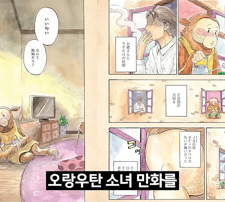 게시물 이미지