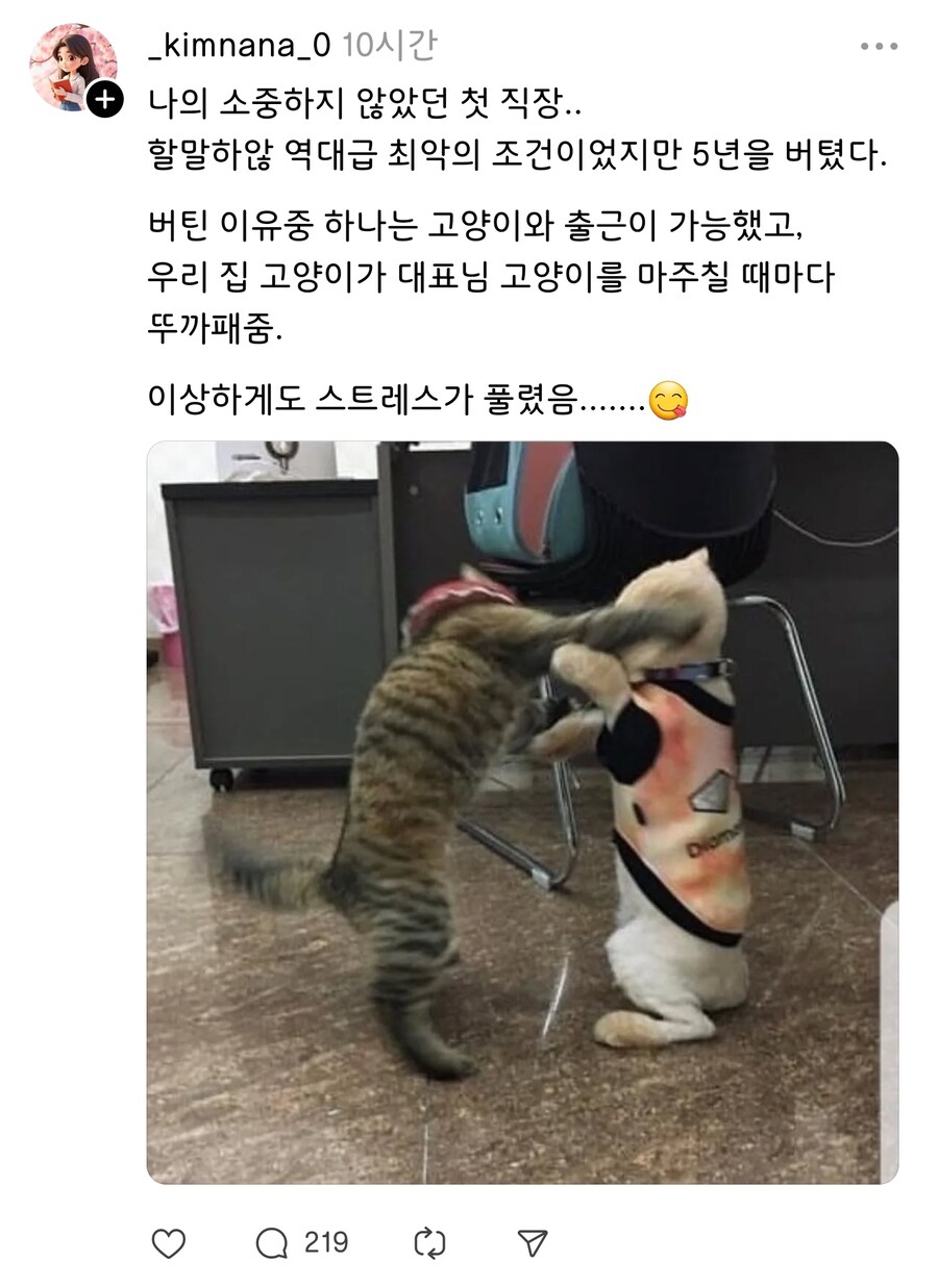 게시물 이미지