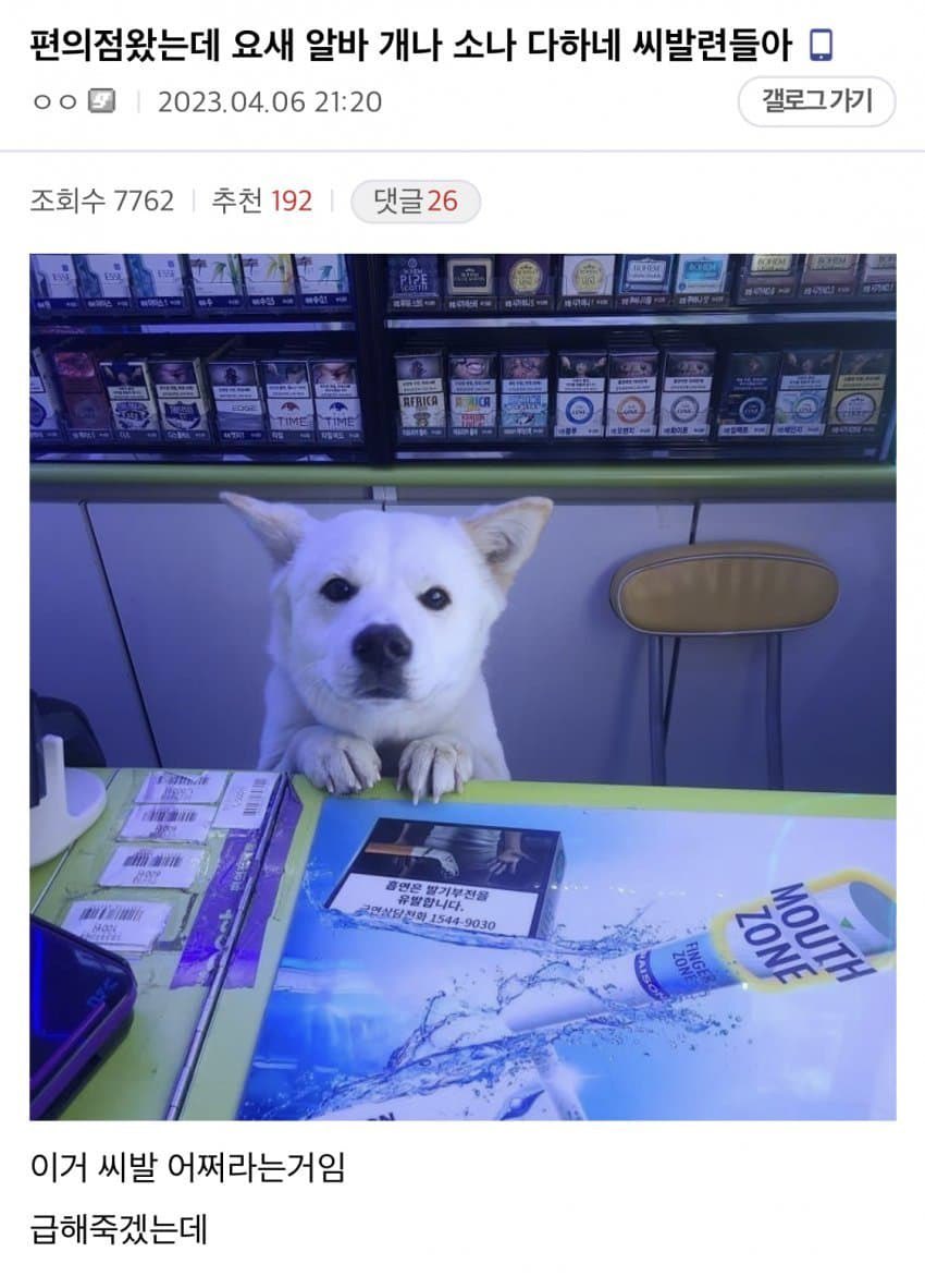 게시물 이미지