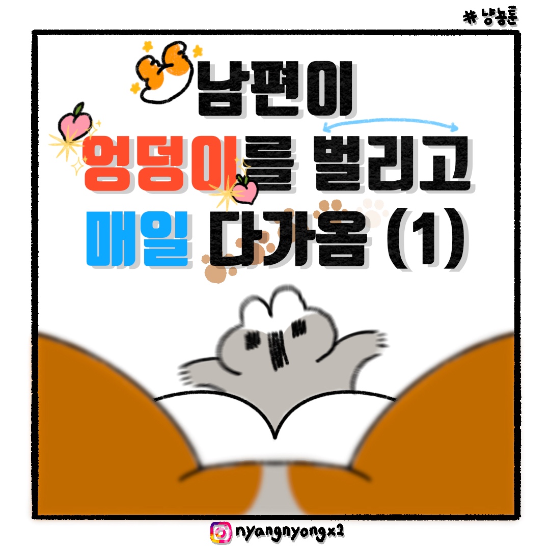 게시물 이미지