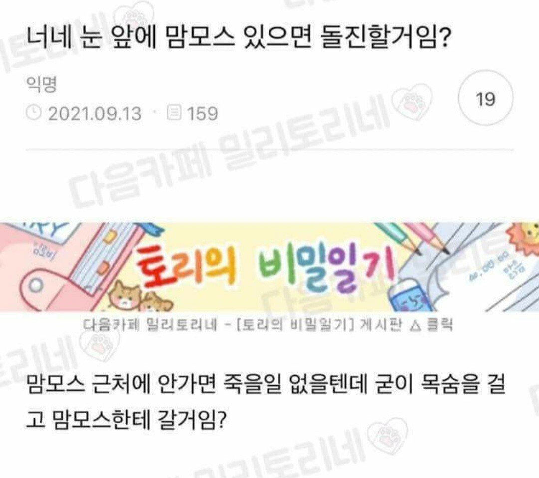 게시물 이미지