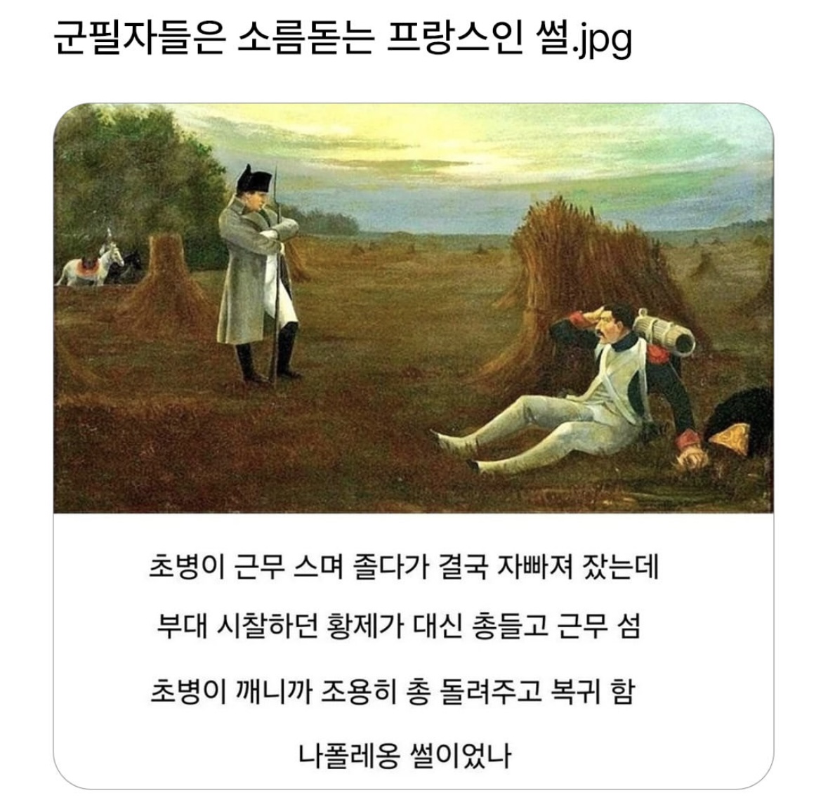 게시물 이미지