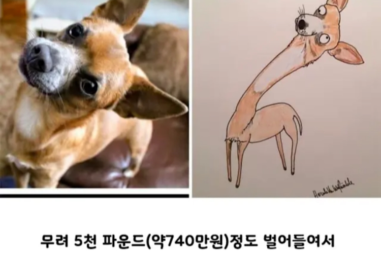 게시물 이미지