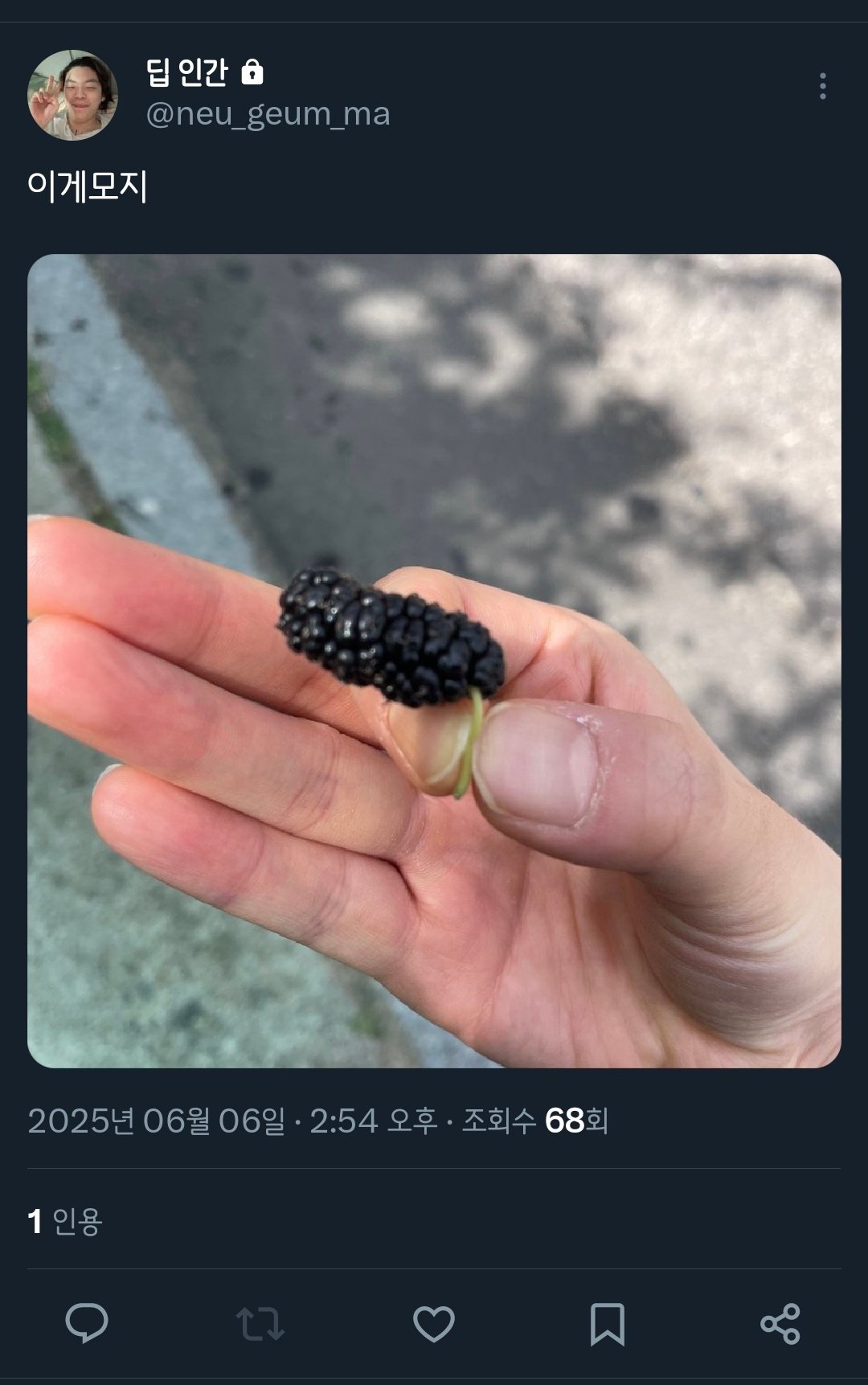 게시물 이미지