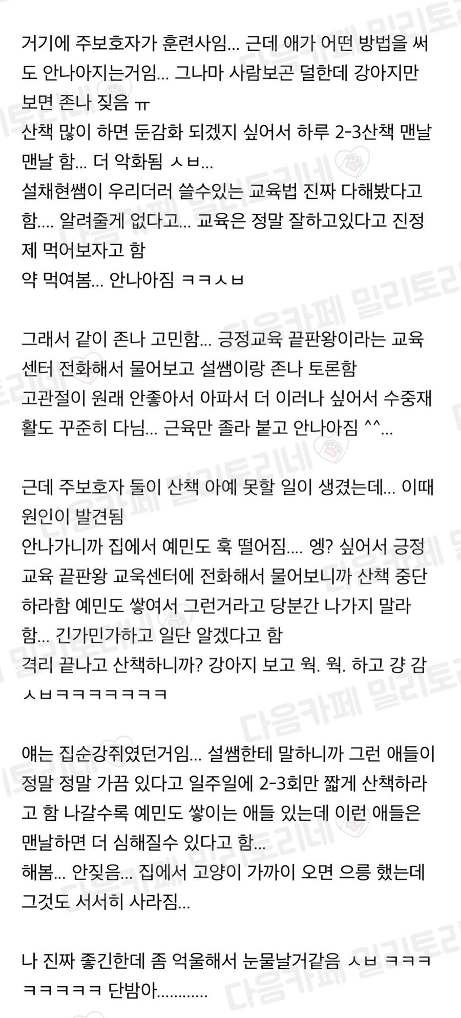 게시물 이미지