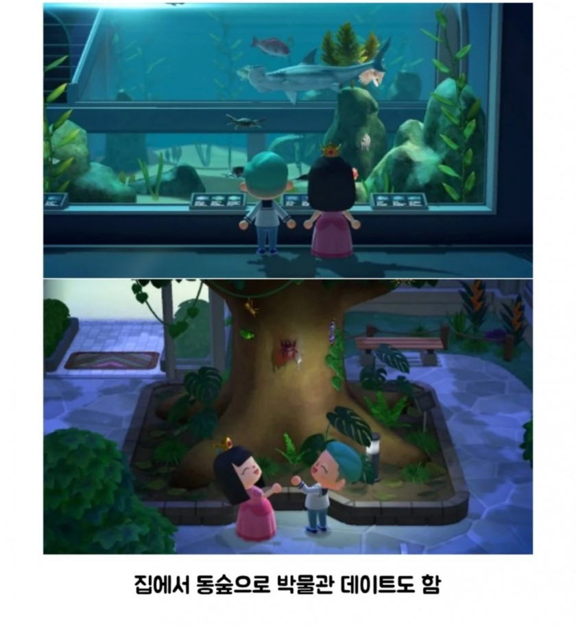 게시물 이미지