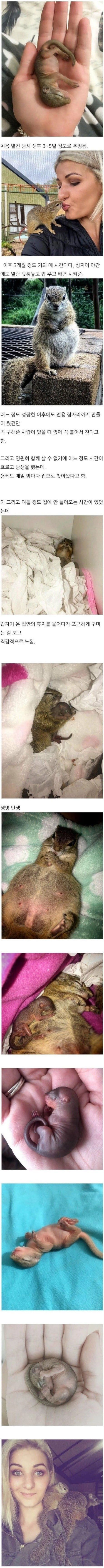 게시물 이미지