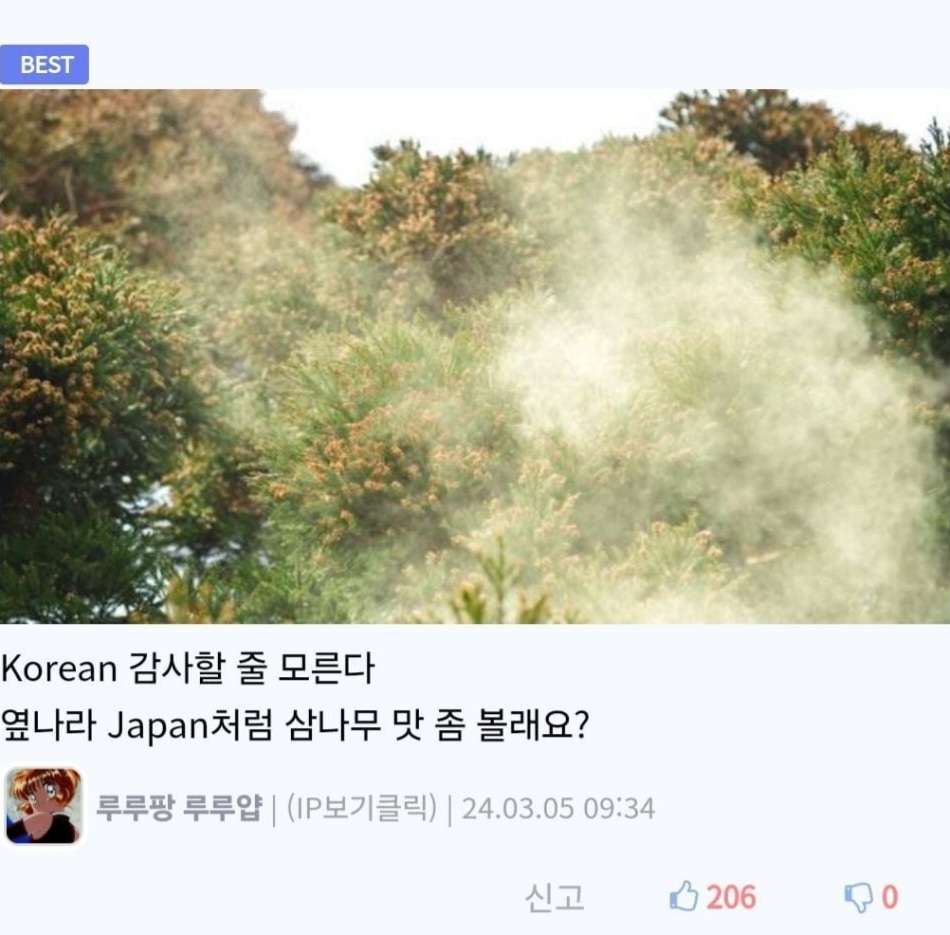 게시물 이미지