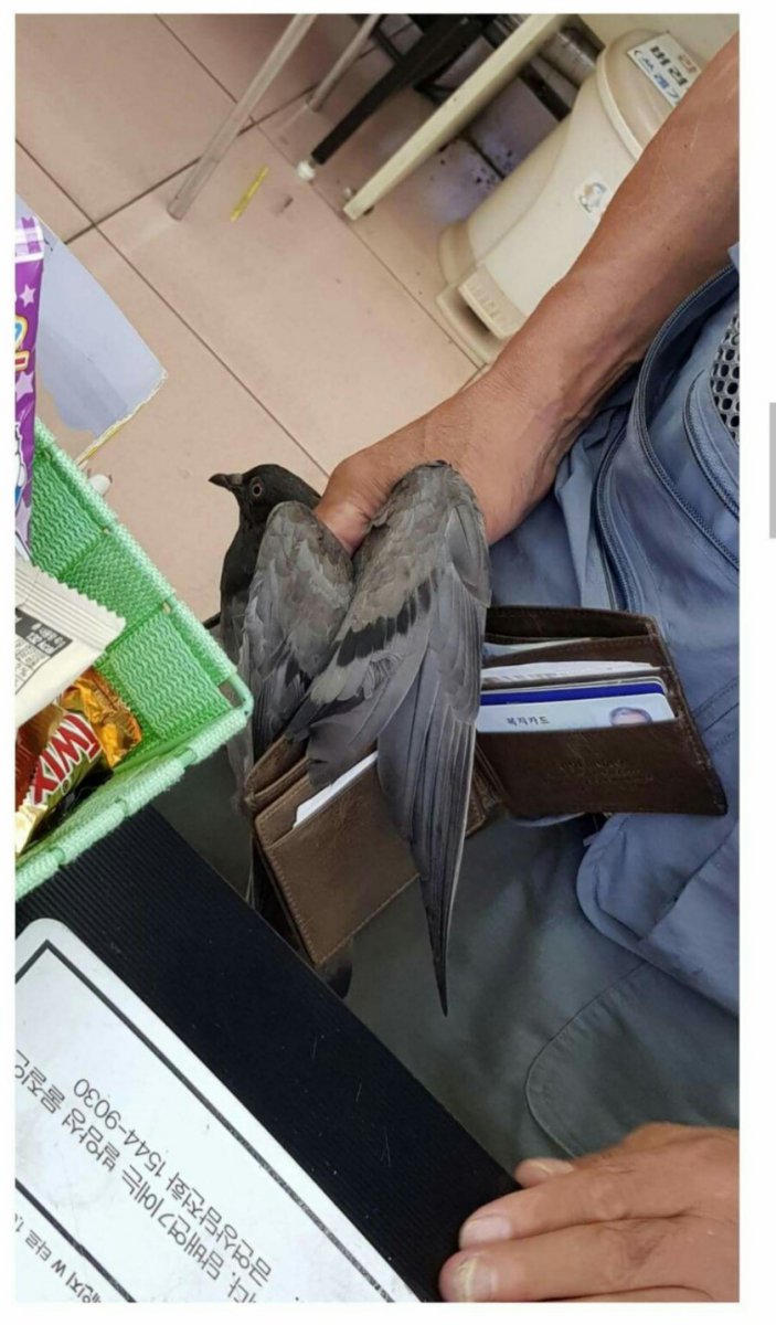 게시물 이미지