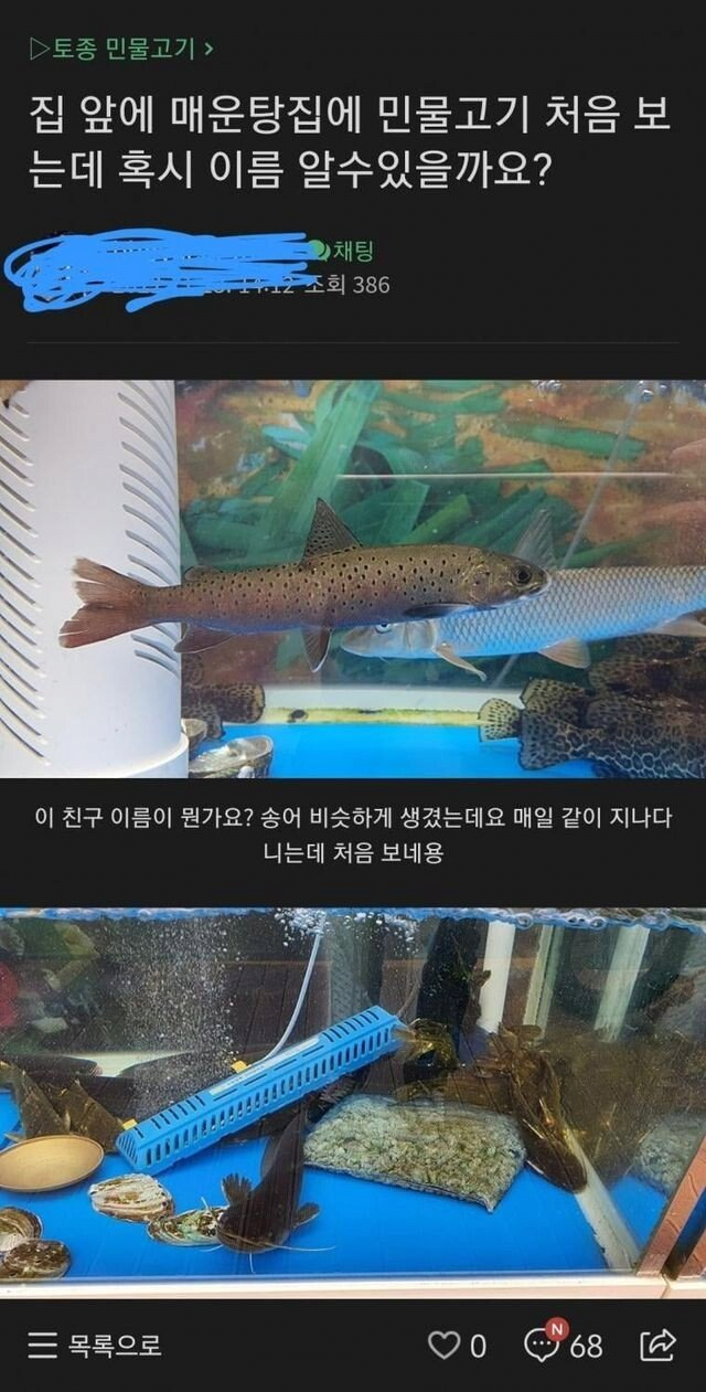 게시물 이미지