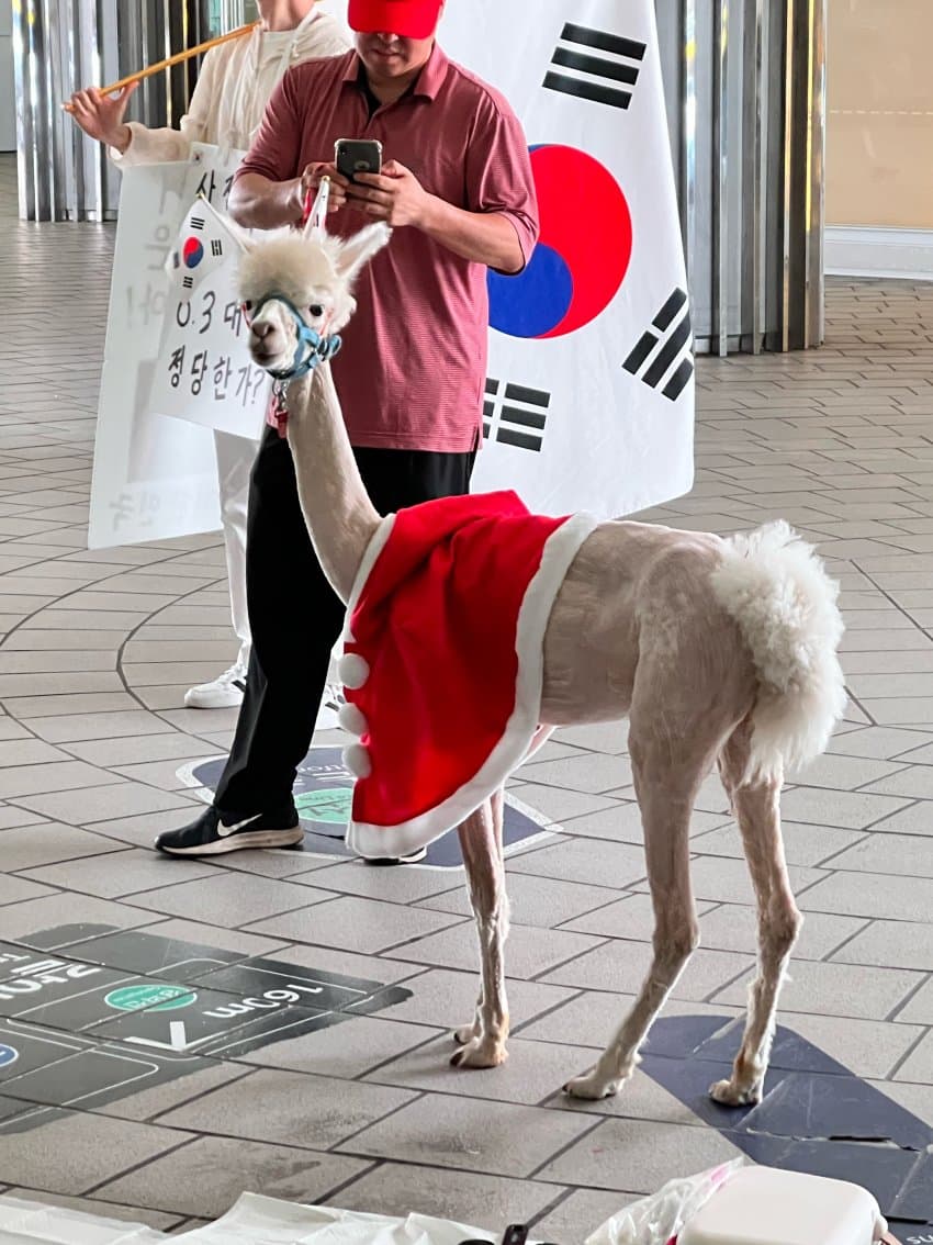 게시물 이미지