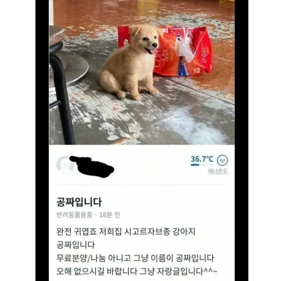 게시물 이미지