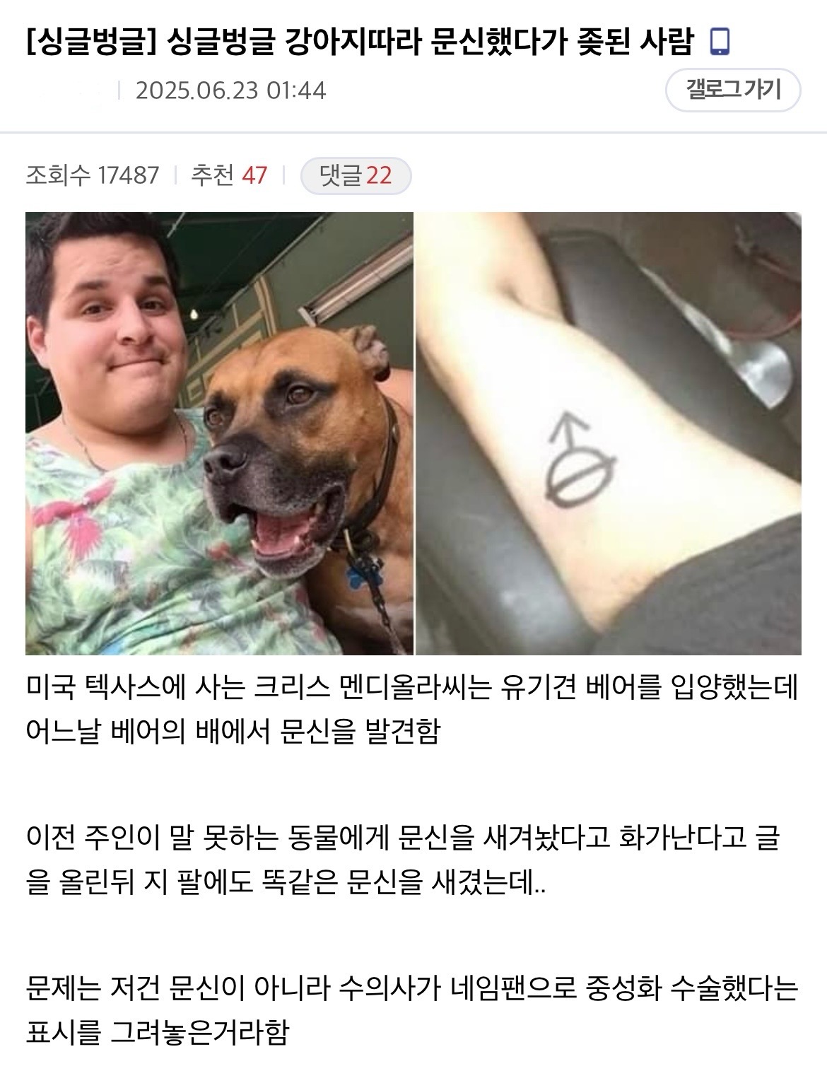 게시물 이미지